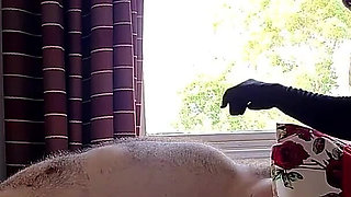 The Silent Treatment - Tickle and Tease