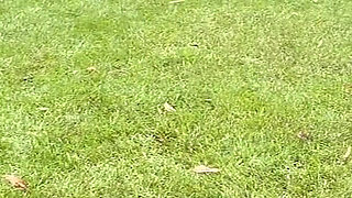 The Gardener and the Boss Wife(full Video)