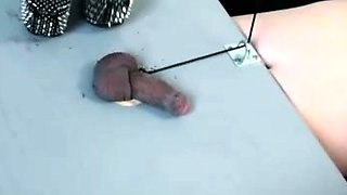 Mistress Urnom Cock Trampling