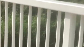 So I Let Him Fuck Me