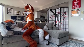 Amateur Couple Doggystyle