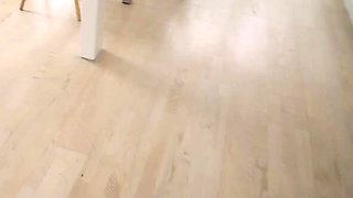 Naughty italian slut Martina Smeraldi fucks to seal the