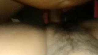 Bring on the Squirrels