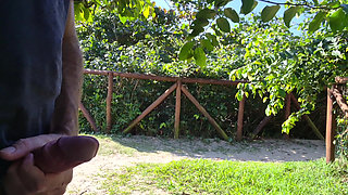 Risky Handjob for a Hot Babe in the Park!