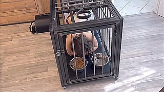 End Of Cage Keeping For The Slave