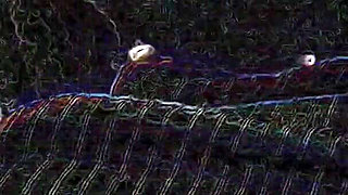 Dogy Style Sex Home Boobs Big Ass Big Local Sex Boyfriend Girlfriend Sex Morning Sex