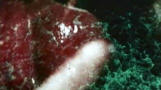 Asian schoolgirl enjoy group sex