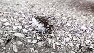 Smoking & Ashtray Pov