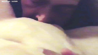 Whipped Cream