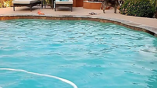 Dream MILF Skinny Dipping