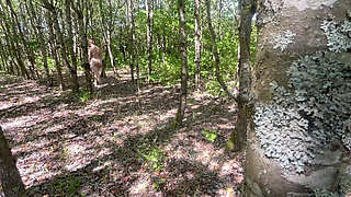 Caught Hiking Naked & Masturbating in the Forest