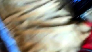 Anal Play With My Tongue And Your Ass