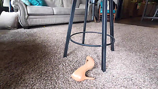 Jerk to My Smelly Nylon Feet JOI