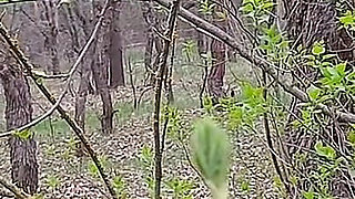 I Pee and Fuck My Lover in the Mouth in the Forest so That My Wife Doesn’t Catch Us