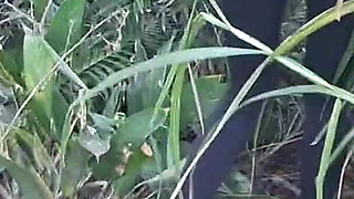 Female Ride-share Driver Stopped Her Car Outdoors to Have Sex with a Passenger!