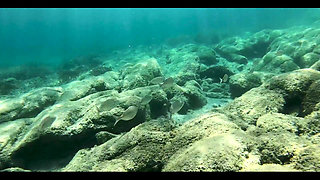 Risking It All on Empty Beach - Real Amateur Couple Squirt