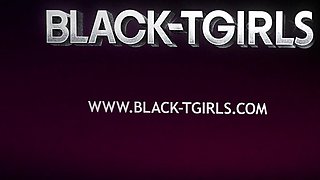 BLACK TGIRLS - Compilation Updates 14th to 18th Jul '25