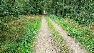 Short but Hard Titslapping While Hiking