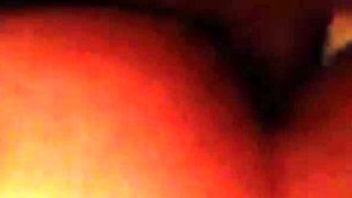 Daddy Bear and His Young Cub