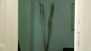 Hot Lingerie Seduction Fuck FERR-ART