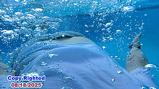 Wet Wild Fun in the Sun Full Video