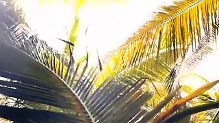 Public Flashing Of Big Natural Tits In The Moment Of Escape