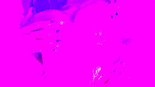 let me seduce you baby..real nice and real slow