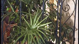 Big Boobed Arab Slut Fingered, Fucked and Creamed