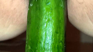 Squirting cucumber