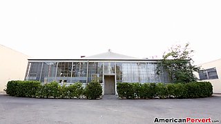 Harrys World - Campaign Gang Bang