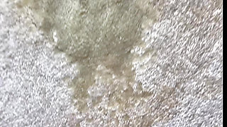 Casual Home Pee Compilation - Carpet, Books, Mattress, Blanket