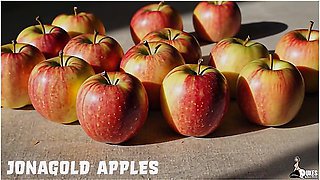 Curvy Milf Mrs. Keagan Sfw Compilation With Car Toon