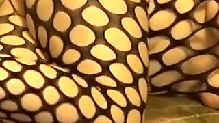 Evening in a fishnet stocking