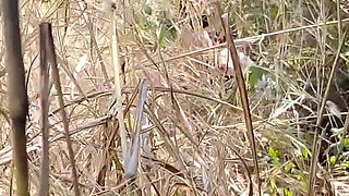 I Fucked My Old Girlfriend in the Forest