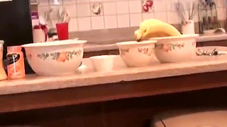 BBW stepmom seduces stepson in the kitchen
