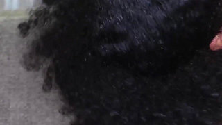 Mixed Ebony Cutie Gives up the Booty to Ripped BBC Stud