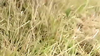 Cult Fun with the Puddles on the Country Road