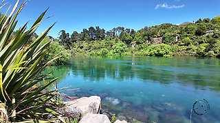 Sucking Dex's Cock In The Woods