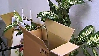 German Granny Takes On Young Cock