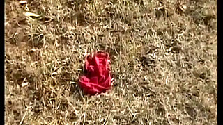 Brunette German Cougar with Naturals Gets Railed in Outdoor Orgy