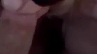All BJ