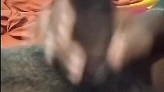 My Wife Blowjob and Cum Shot