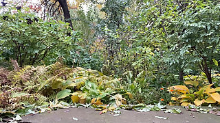 Mature BBW Pees in the Park