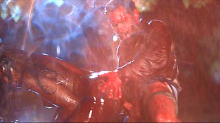 CIMA black and ebony