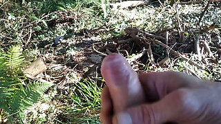 Old Man with a Huge Cock Went Out on a Hike and Squirted