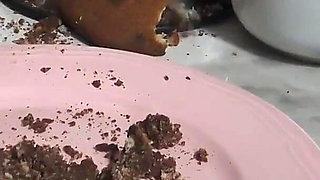 Extreme Humiliation Meal POV! Only for Real Gourmets!