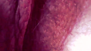 Macro Perspective: Extreme Close-up with Micro Camera
