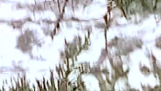 Sexy MILF Naked on the Nudist Beach