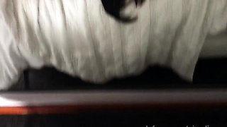 Amateur MILF blowjob cumshot