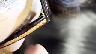 Pinay MILF POV Doggy to Back Cumshot - Lexxi Wett
